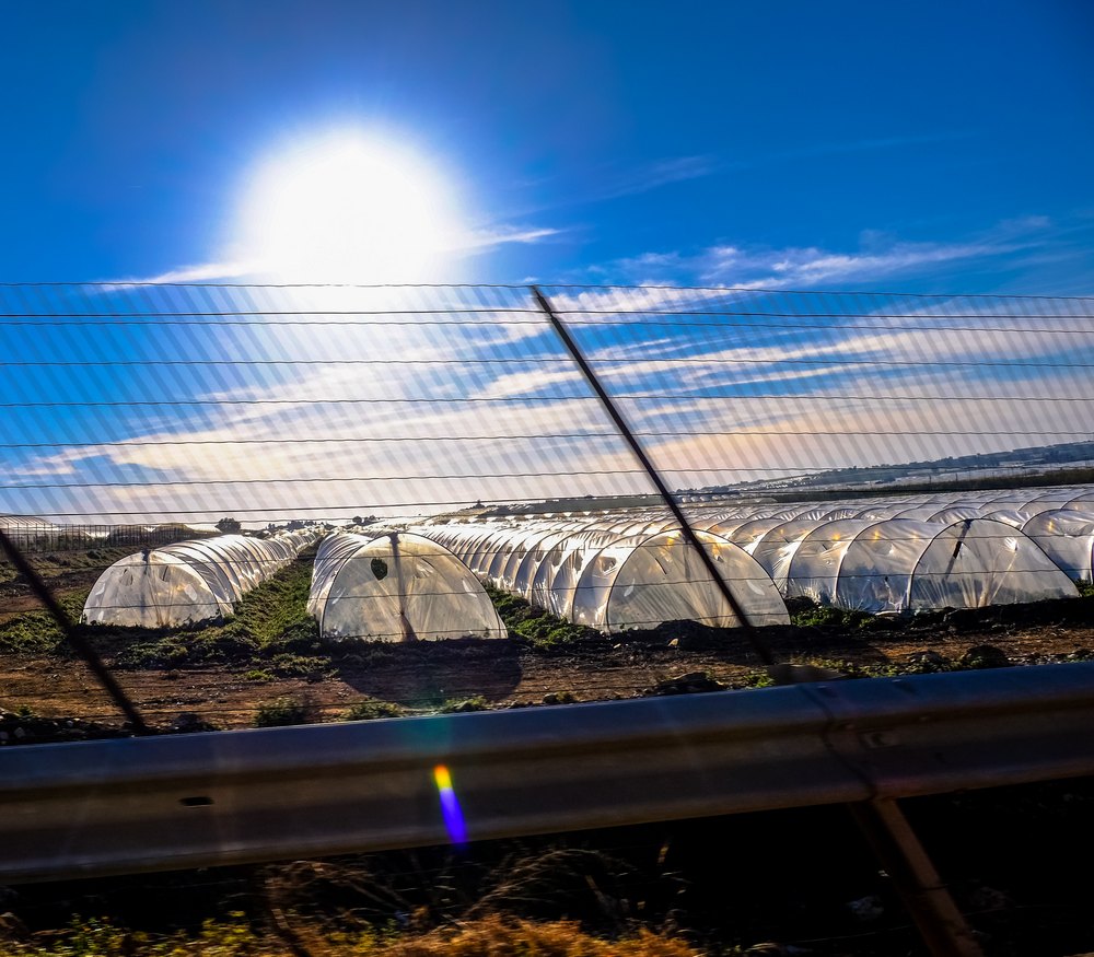 парник купить